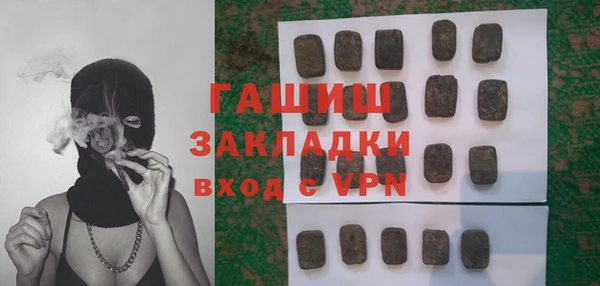 хмурый Алзамай