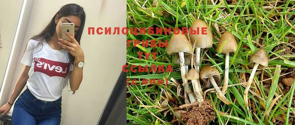 спиды Алексин