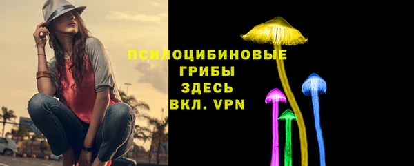 спиды Алексин
