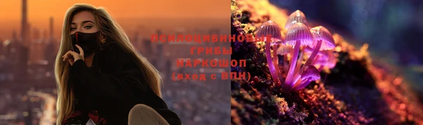стафф Алексеевка