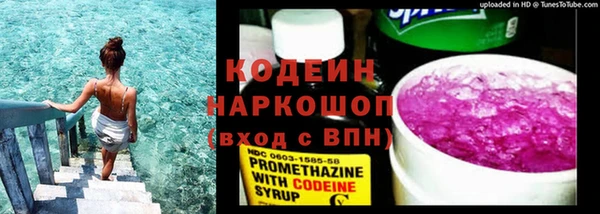 хмурый Алзамай