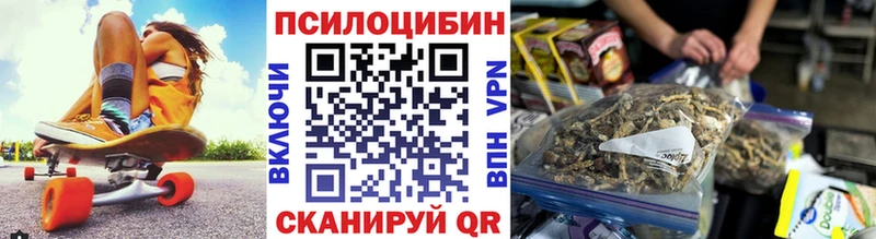 закладка Любим Псилоцибиновые грибы Cubensis